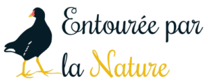 logo_entouree_par_la_nature